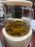 小熊（Bear）全玻璃壶体养生壶恒温壶 办公室多功能煮茶壶花茶壶 0金属养生杯 24h预约24h保温 1.5L YSH-H15L2 实拍图