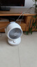 艾美特（AIRMATE）空气循环扇家用节能小型落地电风扇四季循环对流换气桌面小风扇大风量宿舍台式摇头轻音电扇 X28 实拍图