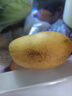 正宗小台农芒果新鲜水果10斤小芒果鲜果整箱应季当季海南热带水果 【老农亲选】商超果特大特甜 小台芒10斤整箱（JD快递） 实拍图