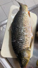 九阳（Joyoung）电火锅6L大容量1600W大火力火锅专用锅电煮锅电热锅多功能料理锅一体锅HG60-G100S 实拍图