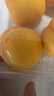 京地达山东阳光小番茄黄色柿子净重4.5斤 新鲜现摘水果自然成熟源头直发 实拍图
