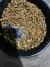麦富迪猫粮 超肉粒冻干双拼成猫粮美毛护肠胃 三文鱼2kg 实拍图