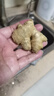 农多鲜 云南小黄姜 新鲜蔬菜现挖现发调味料火锅食材 产地直供 小黄姜净重3斤 精选小黄姜 实拍图