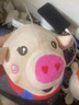 乐爱祥跳跳猪蹦蹦球会唱歌录音学说话复读婴儿玩具0-1岁生日礼物 实拍图