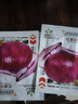 蔬菜种子四季播盆栽阳台庭院香菜生菜菠菜萝卜葱简单易种籽孑大全 红皮洋葱约300粒 实拍图
