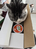 麦斯蒂宠物猫罐头鸡肉金枪鱼维生素浓汤补水成幼猫咪零食营养85g*24罐 实拍图