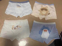 尼多熊儿童棉质内裤男童四角平裤宝宝婴幼儿大童男孩平角短裤 实拍图
