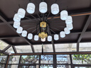 圣伦希尔（SELLEN HILL）新中式吊灯卧室大气餐厅荷花家用书房现代简约全屋套餐复古客厅灯 18头-三色变光全光谱 实拍图