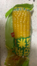 十月稻田 黄糯玉米 3.52斤(220g*8根) 25年新玉米 低脂粗粮 早餐 联名款 实拍图