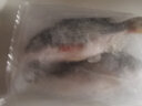 蝶岛船说 东山岛海钓黄翅鱼 海捕海鱼冷冻黄鲷鱼新鲜 海鲜水产澳角村 500g/2-3只 实拍图