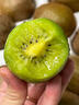 式果礼江山徐香猕猴桃【顺丰】衢州特产绿心弥胡桃奇异果泥猴桃水果礼盒 净重4.5斤 中果【单果70g+】 实拍图