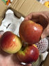 2025新果正宗大凉山丑苹果冰糖心盐源红富士当季孕妇新鲜水果生鲜 5斤 【大果】80-85mm 实拍图