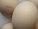 京鲜生鲜鸡蛋20枚/盒 健康轻食 营养健康 2斤/盒 源头直发  实拍图