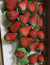 京鲜生 丹东99红颜奶油草莓 1斤装 单果22-30g 生鲜水果 实拍图