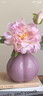 京东鲜花陶瓷小花瓶套装摆件客厅乔迁插花仿真花假花束桌面装饰干花器拍照 实拍图
