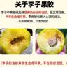 京觅汶川高山青脆李 4.5斤 单果35g+ 应季水果青脆脱骨李子源头直发 实拍图