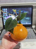 爱已装糖仿真橘子艺术花瓶简约陶瓷花瓶生日礼物客厅餐桌装饰插花瓶高10cm 实拍图