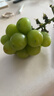 辣青春【顺丰多地次日达】云南阳光玫瑰青提葡萄晴王当季新鲜水果礼盒装 一级果2斤【原箱串装】单颗8-10g 颗颗甄选 实拍图