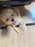 麦富迪（Myfoodie） 狗狗零食 鸭肉卷夹心牛皮180g成幼犬磨牙棒训练奖励宠物零食 实拍图