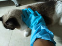HELLOJOY狗狗洗澡手套宠物猫咪撸猫防抓饶神器按摩搓澡专用工具加长2只装 实拍图