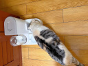 KimPets猫碗狗碗猫粮食盆双碗猫咪自动饮水机饭盆水碗一体喂食器宠物用品 升级款绿色-陶瓷碗【防黑下巴】 实拍图
