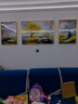 诗六艺家饰客厅装饰画北欧现代简约沙发背景墙挂画三联画大气轻奢壁画晶瓷画 家和富贵B（铝合金外框） 晶瓷画左右50*70+中间100*70亮面 实拍图
