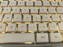 前行者V3 104键无线键盘蓝牙双模静音机械手感高颜值轻薄办公薄膜键盘笔记本台式电脑iPad通用 复古绿 实拍图