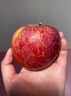 2025新果正宗大凉山丑苹果冰糖心盐源红富士当季孕妇新鲜水果生鲜 9斤 【中大果】75-80mm 实拍图