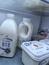 伊利经典凝酪酸奶 低温老酸奶家庭装原味 800g 风味发酵乳 实拍图