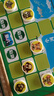 先行者斗兽棋磁性棋盘成人磁石立体动物棋H-701 大号升级款  儿童游戏棋 实拍图