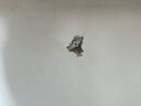 深达威 管道测堵仪 充电式电工墙体PVC管金属管测堵器 电线管堵塞探测仪 排堵塞探测器 电工排堵仪 SW-720测堵仪(探测线长20米) 实拍图