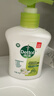 滴露（Dettol）洗手液茉莉绿茶清香500g*2 儿童洗手液家庭抑菌消毒 迪士尼 实拍图