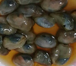 邵万生黄泥螺酒酿醉泥螺老宁波风味腌制新鲜海鲜即食下饭下酒菜金标300g 实拍图