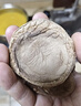 裕庆堂庆元香信菇200g 剪脚冬蘑菇新货食用菌高山薄香菇干货 实拍图