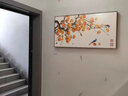 禾画新中式餐厅装饰画柿柿如意壁画客厅沙发背景挂画饭厅装饰画客厅画 柿柿如意-C款（特价） 120*60【晶瓷画+铝合金框】 实拍图