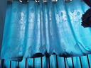 现代简约遮光窗帘加厚卧室窗帘客厅阳台隔断帘窗帘（不带杆） 郁金香-天蓝色 宽3米*2.2米高一片【打孔款】 实拍图