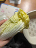 云南高原娃娃菜新鲜蔬菜生鲜乾隆白菜早餐火锅必备产地直发 浅黄色 新鲜娃娃菜3颗装*3包 实拍图
