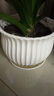 裕轩堂陶瓷花盆个性特大号创意多肉室内简约吊兰绿萝家用阳台绿植带托盘 88003白 21厘米左右 实拍图