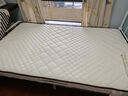 海马飞雪床垫席梦思天然椰棕乳胶独立弹簧床垫酒店厚薄双人家用榻榻米垫子 15cm双面款(乳胶+独立弹簧+椰棕) 1.2x2米 实拍图