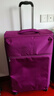 INTERNATIONAL TRAVELLER英国IT拉杆箱托运旅行箱万向轮超轻行李箱28英寸软布箱1191紫色 实拍图