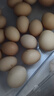 香丹青 林下散养土鸡蛋新鲜农家自养笨鸡蛋食用柴鸡蛋 10枚 实拍图