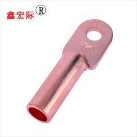 CHFK国标DT铜鼻子接线端子紫铜镀锡堵油铜接头16/25/35/50平方纯铜线耳鼻 DT-16 1只 实拍图