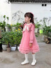 G.DUCKKIDStutu裙女童连衣裙春秋季甜美可爱女宝宝衣服中小童蓬蓬裙儿童礼服 小香风粉红色春秋款 110 建议4-5岁【95-105cm】cm 实拍图