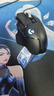 罗技（G） G502 HERO主宰者游戏鼠标电竞鼠标有线RGB机械配重竞技FPS吃鸡宏cf送男友男生礼物 G502HERO+KDA女团桌垫 实拍图