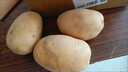 定西土豆2025年新挖粉糯面沙高山洋芋马铃薯甘肃定西美食特产 净重9斤小果【单果1-3两】 实拍图