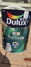 多乐士（Dulux）致悦竹炭抗甲醛全效无添加内墙漆乳胶漆室内墙面漆油漆涂料 A740S 升级抗病毒 套装 白漆 15L*1件 实拍图