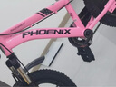 凤凰（Phoenix）儿童自行车男女宝宝脚踏车3-8-12岁儿童山地车14-18-22寸小孩单车 极氪一体轮+ 迷人粉+ 悍马辅助轮 18寸适合身高（120-150cm） 实拍图