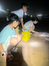 WarsunWD06感应头灯超长续航抓知了猴夜钓强光充电超亮远射防水工作钓鱼 实拍图