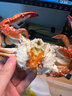 鲜活梭子蟹100-150g/只 实拍图