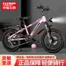 飞鸽儿童自行车6-12-18岁青少年单车男女学生轻便山地车粉18寸单速辐 实拍图